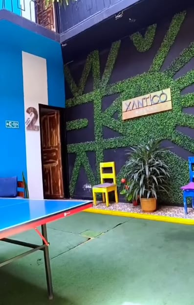 Muro de follaje verde con el letrero de madera Xantico, silla amarilla, planta y la puerta de la habitación 2.